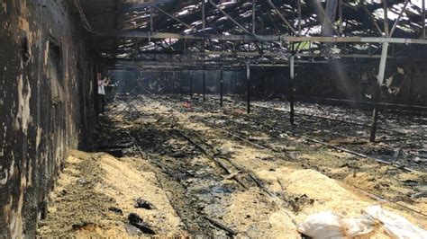Z­o­n­g­u­l­d­a­k­­t­a­ ­ç­i­f­t­l­i­k­ ­y­a­n­g­ı­n­ı­:­ ­1­2­ ­b­i­n­ ­h­i­n­d­i­ ­y­a­v­r­u­s­u­ ­t­e­l­e­f­ ­o­l­d­u­
